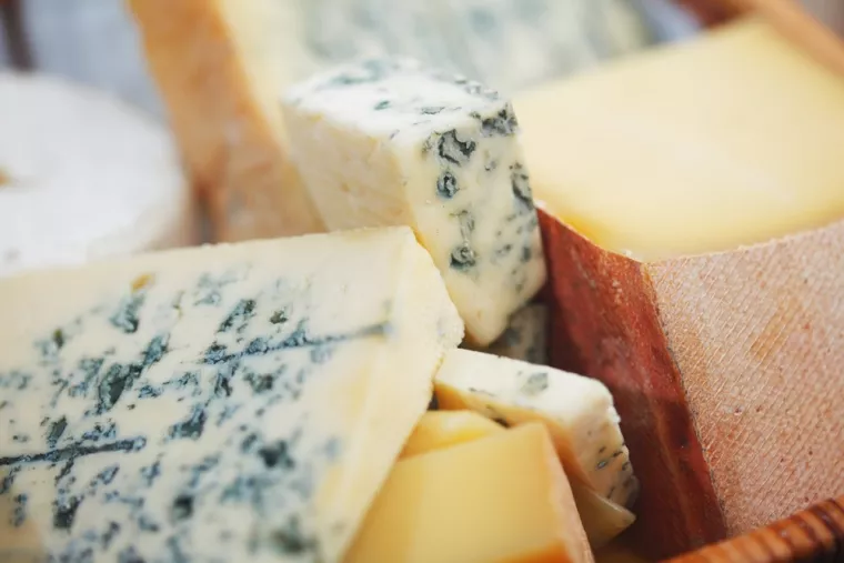 Quels types de fromages peut-on fabriquer dans une fruitière ?, Rhône-Alpes, Fruitière à Comté de Largillay